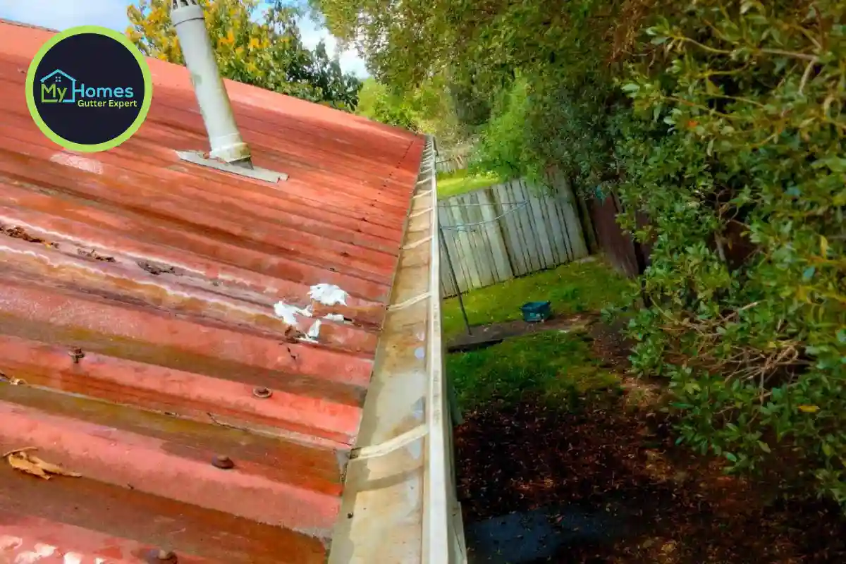 Clean empty gutter after professional cleaning service in Henderson, Auckland