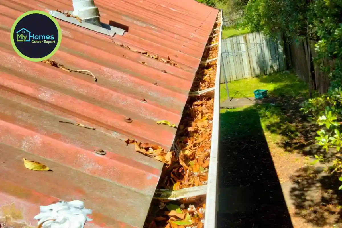 Blocked gutter full of leaves before cleaning in Henderson, West Auckland