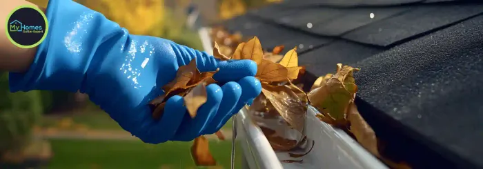 Gutter Cleaning