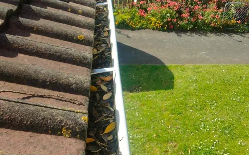 Gutter Cleaning in progress — Auckland job by My Homes Gutter Expert