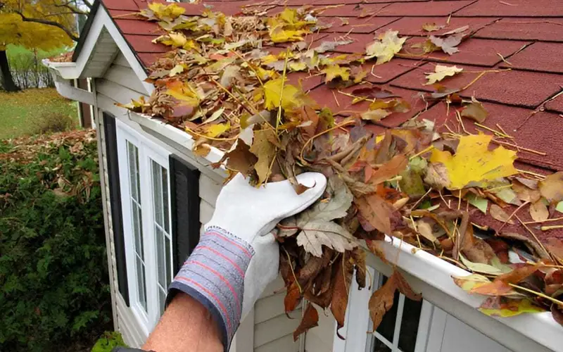 Gutter Cleaning work by My Homes Gutter Expert — the service we provide in East Auckland