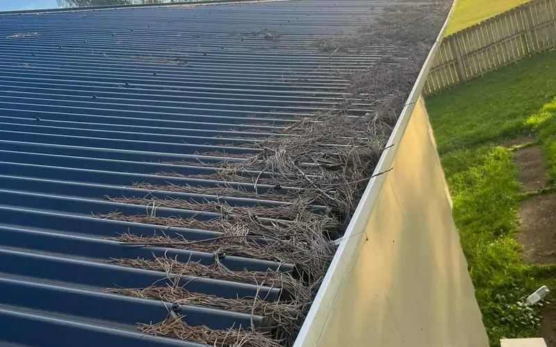 Gutter Cleaning in progress — Auckland job by My Homes Gutter Expert
