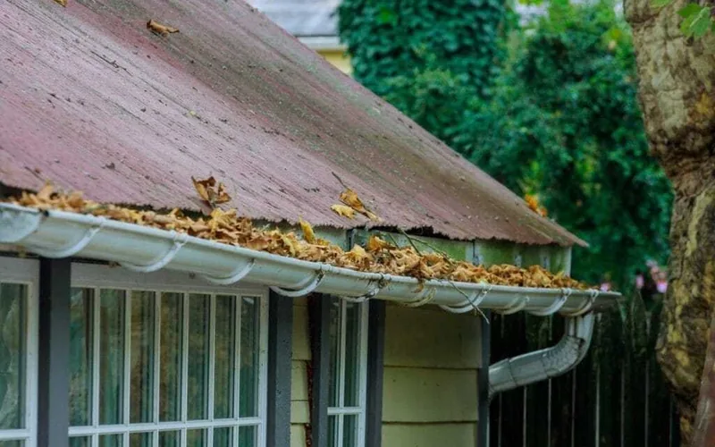 Gutter Repair work by My Homes Gutter Expert β the service we provide in Botany