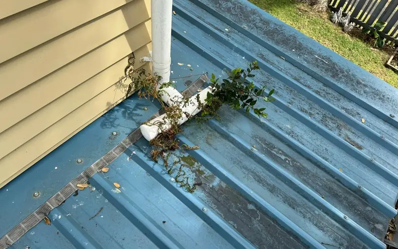 Spouting Service in progress — Auckland job by My Homes Gutter Expert