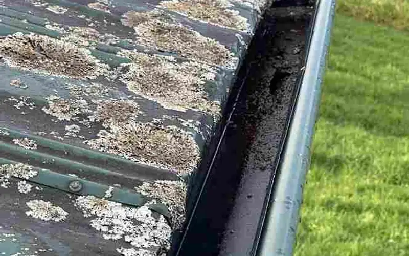 Taylor Fascia Rebuild work by My Homes Gutter Expert β the service we provide in Pukekohe