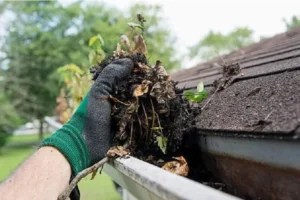 Prevent Gutter Blockages: Causes & Effective Solutions