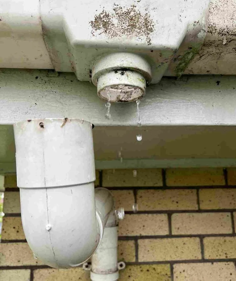 Professional gutter cleaning service in Auckland