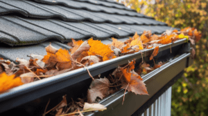 How to Budget for Gutter Repairs and Replacements in 2025 (Auckland)