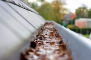 Why Regular Gutter Cleaning is Essential for Auckland Homes