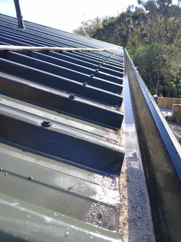 7 Essential Steps to Prepare Gutters for Winter in Auckland | My Homes 1 prepare gutters for winter