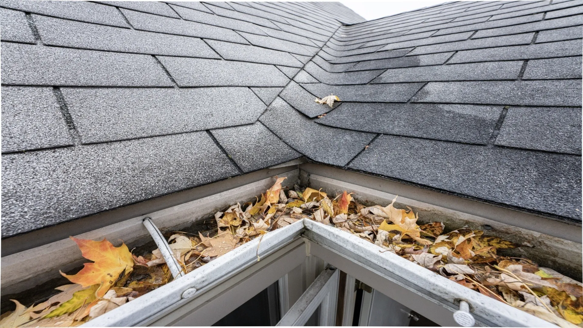 Gutter-Cleaning-Annually
