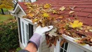 Ultimate Gutter Maintenance Checklist for Auckland Homes