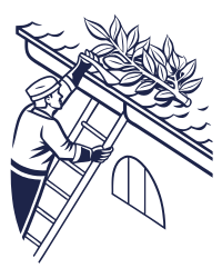 Professional gutter cleaning service