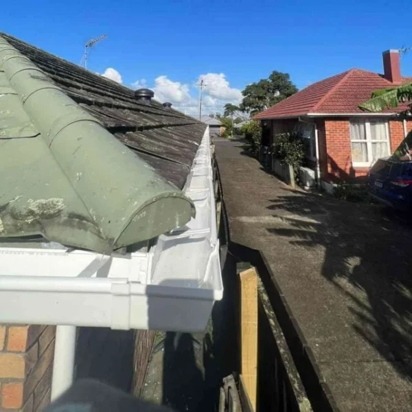 Professional gutter cleaning service in Auckland